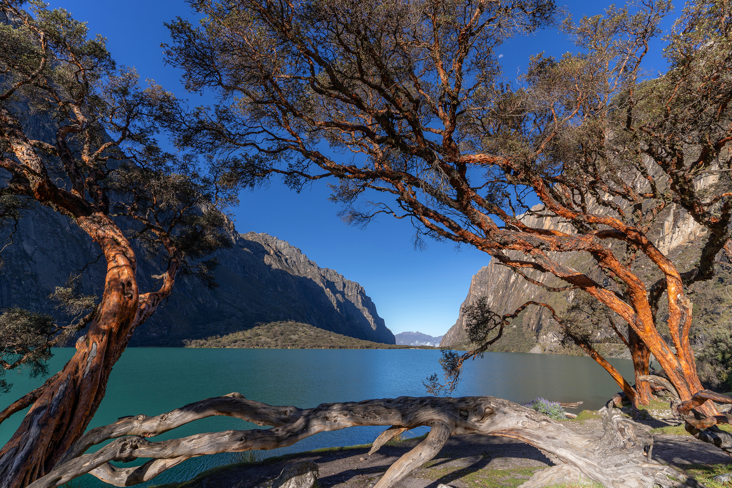 Laguna Llanganuco